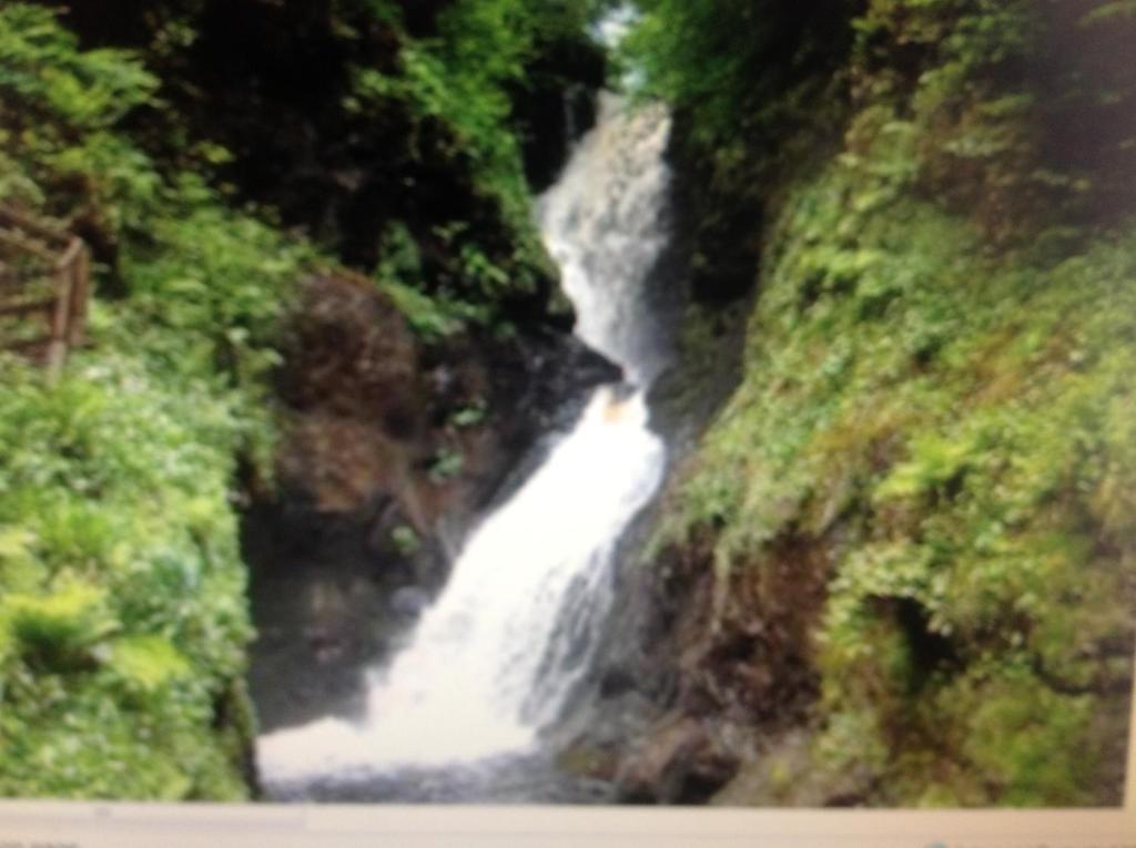Garron View Bed & Breakfast Cushendall Luaran gambar